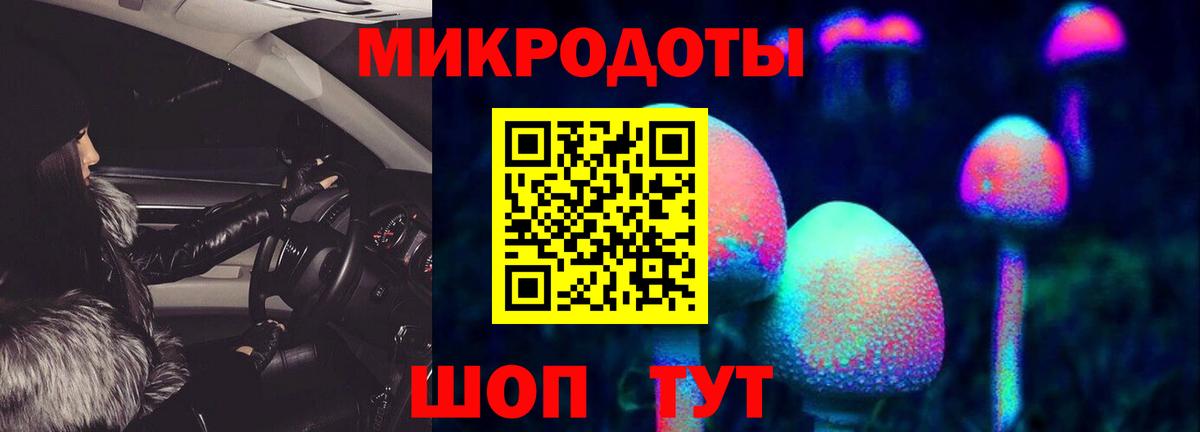 Псилоцибиновые грибы прущие грибы Новоалтайск
