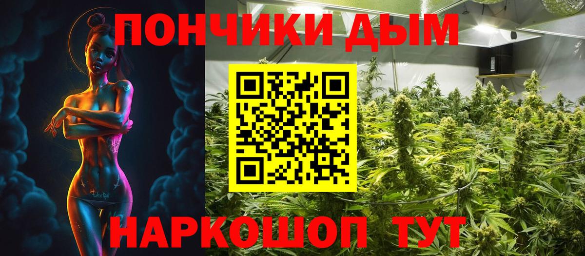 Бошки Шишки White Widow  Марихуана планчик  Новоалтайск  Шишки марихуана Amnesia  Вход с VPN 